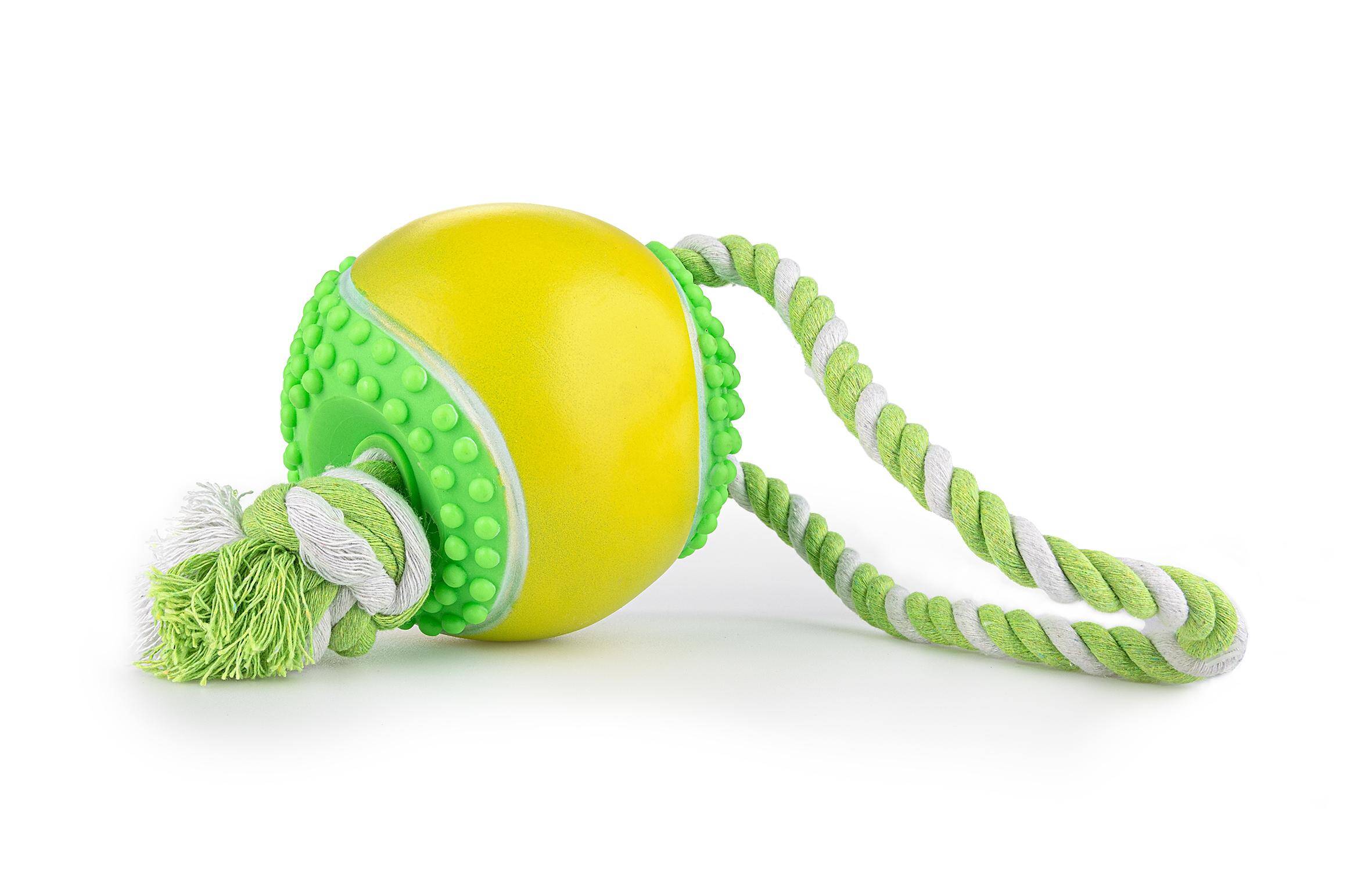 Z799 Squeaky toy with spikes and string 