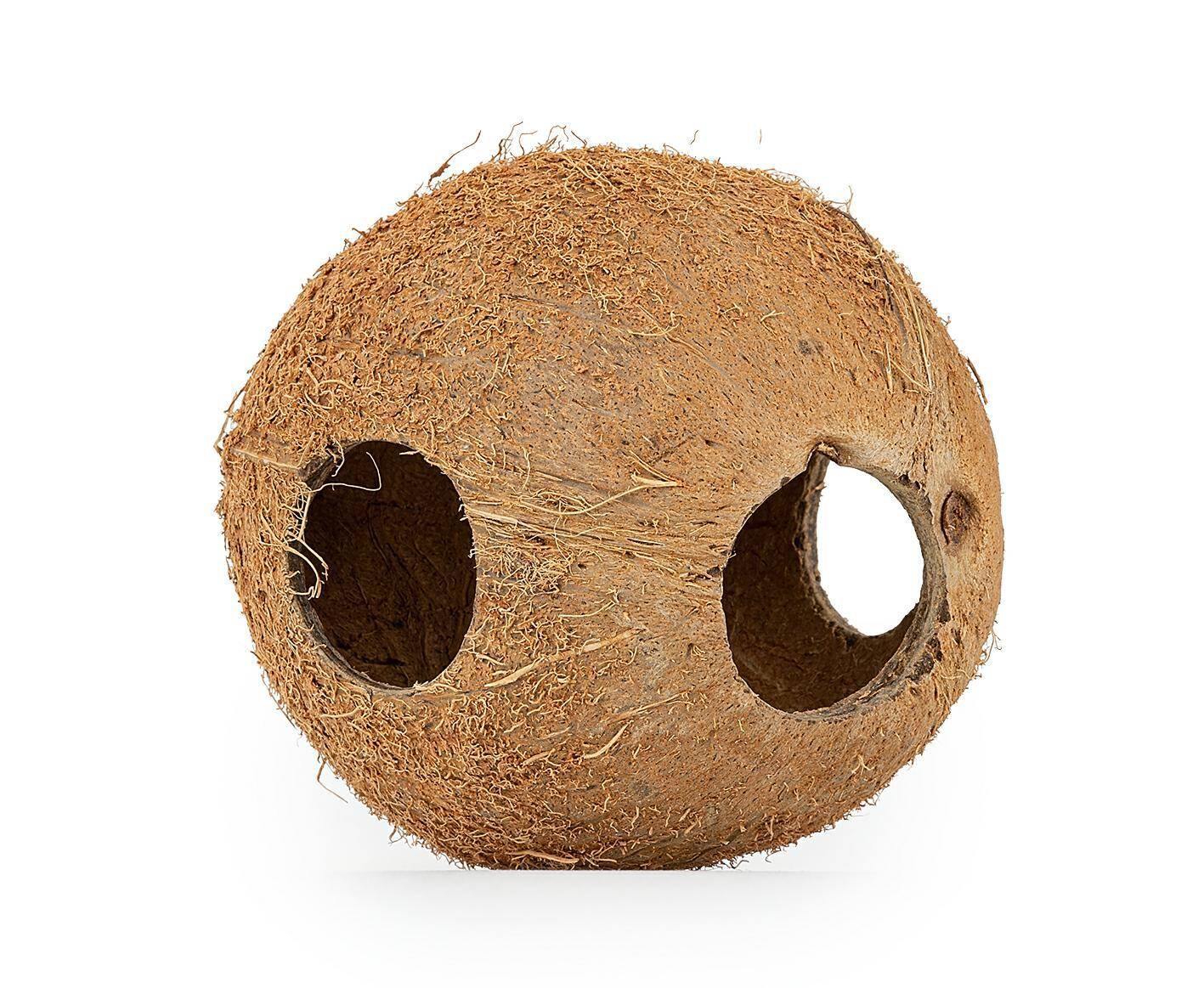 Coconut shell fulls unbrushed 3 pieces
