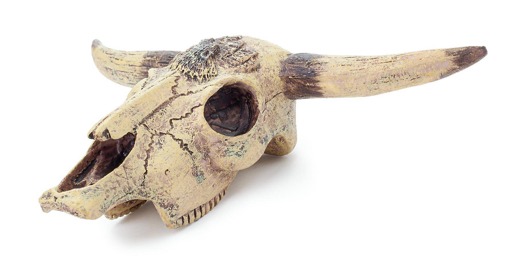 Ozdoba akwariowa Happet R110 czaszka bizona 12 cm (Zdjęcie 4)