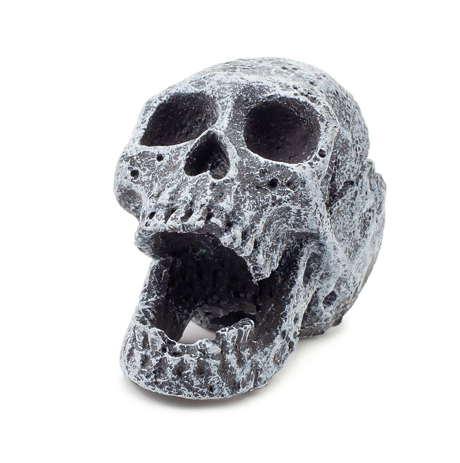 Aquarium skull decoration Happet R107 5,5 cm