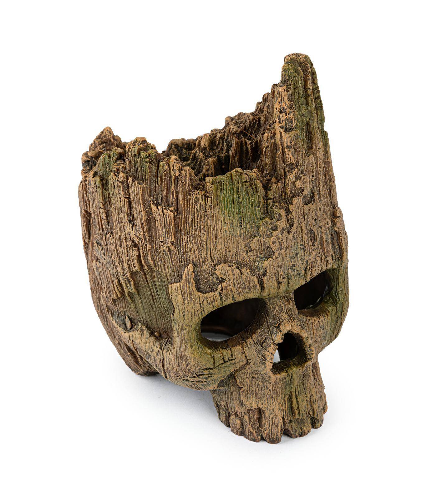 Wood Imitation Skull R195