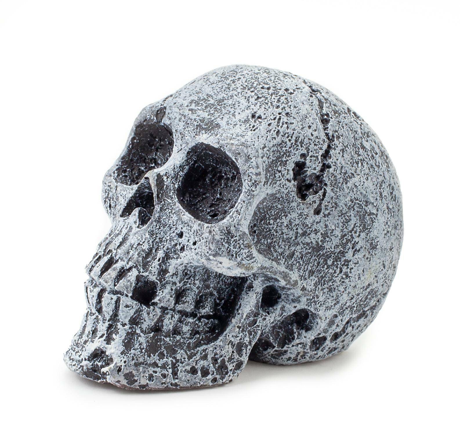 Ozdoba akwariowa Happet R108 czaszka 5,5 cm (Zdjęcie 2)