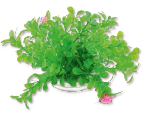 Aquarienpflanze, künstlich Folie  10cm 1f18 Happet (SR1F18GU)