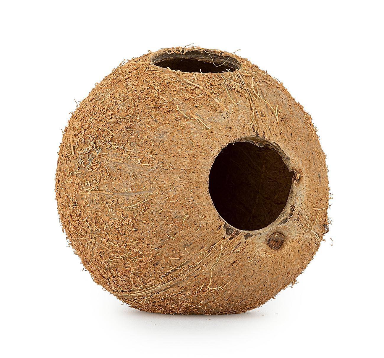 Skorupa kokosa Happet 1/1 nieszczotkowana 3 szt. (Zdjęcie 2)