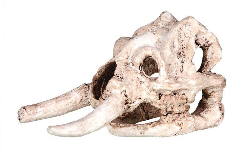 Ozdoba akwariowa Happet R111 czaszka mamuta 11,5cm