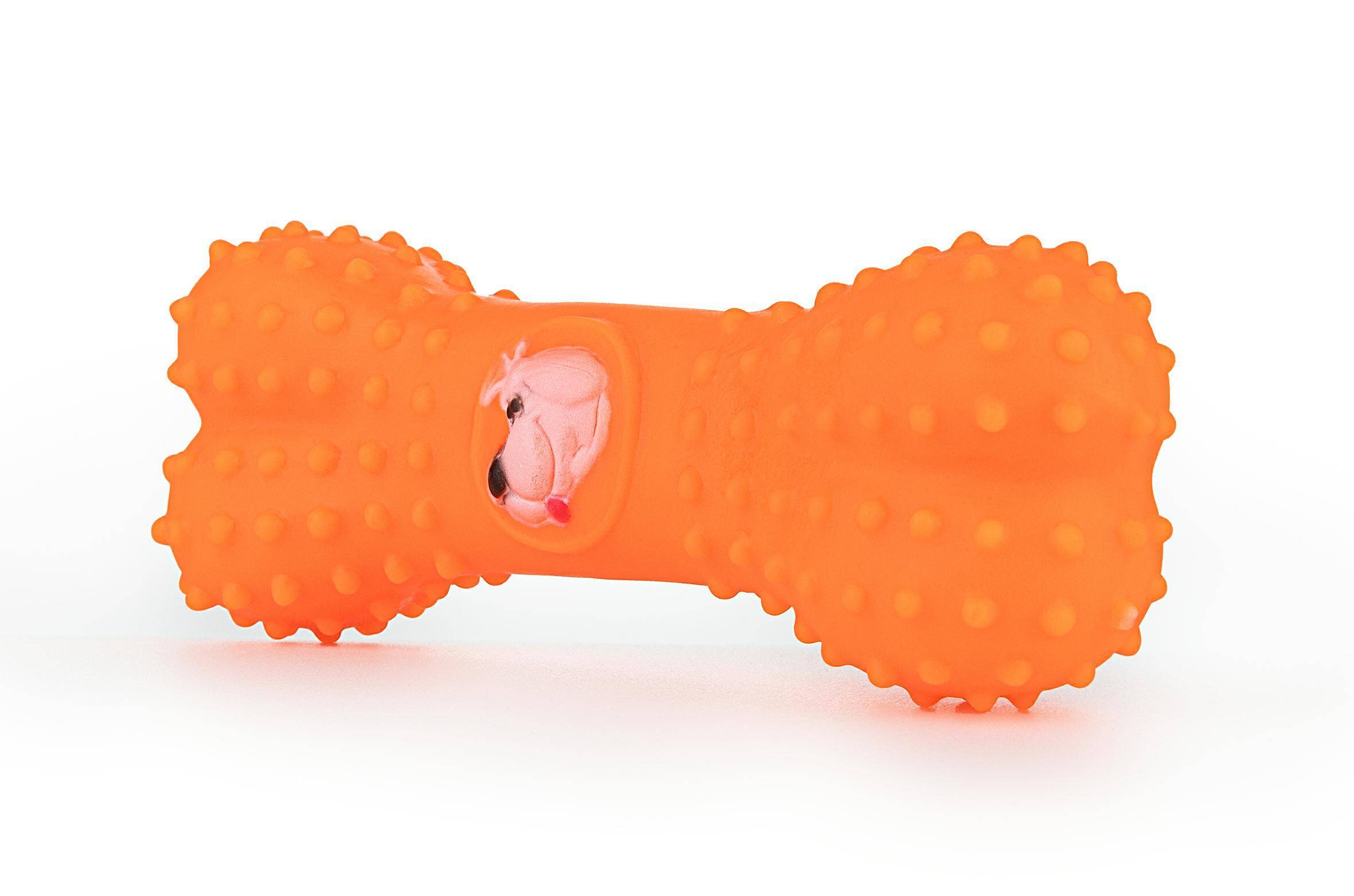 Squeaky Toy with Protrusions