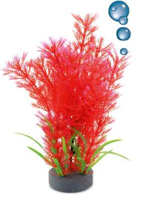 Aquarienpflanze, künstlich Happet 0F16 mix rot (SR0F16GU)