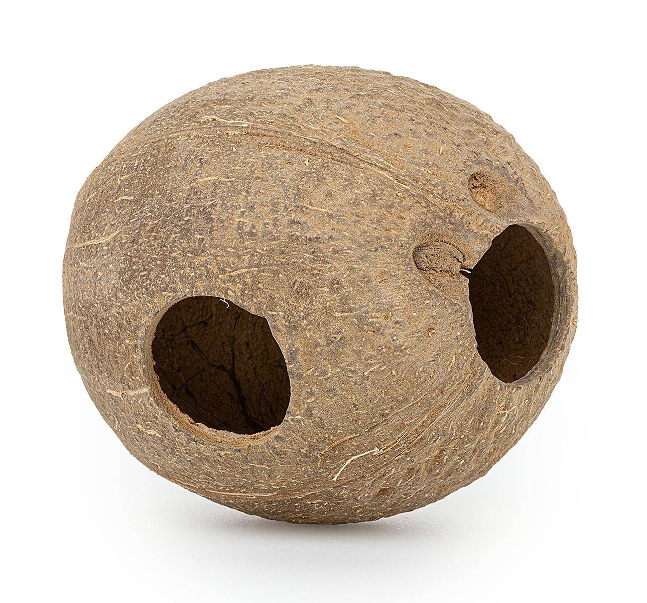 Skorupa kokosa Happet 1/1 szczotkowana 3 szt. (Zdjęcie 1)