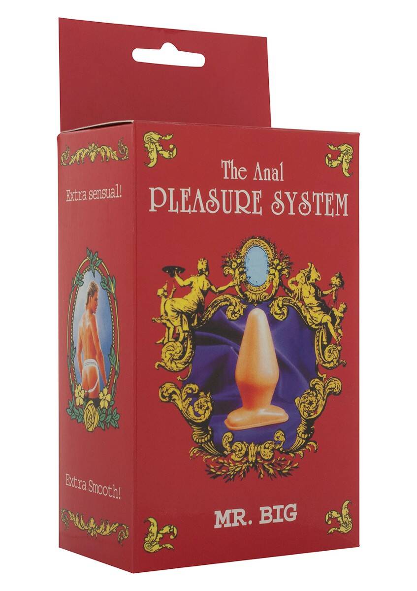 THE ANAL PLEASURE SYSTEM MR. BIG NATURAL