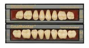 Zęby akrylowe Gnathostar (Zdjęcie 1)