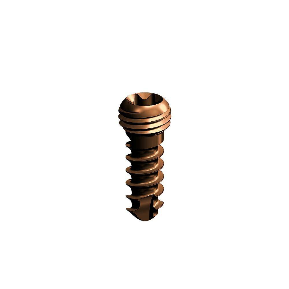 Locking TORX self-tapping screw 3.5  x12