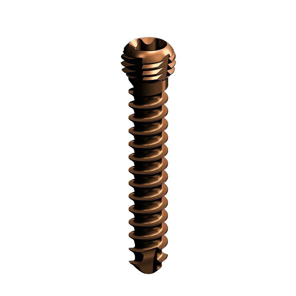 Multi-angle TORX locking self-tapping screw 3.5 x22