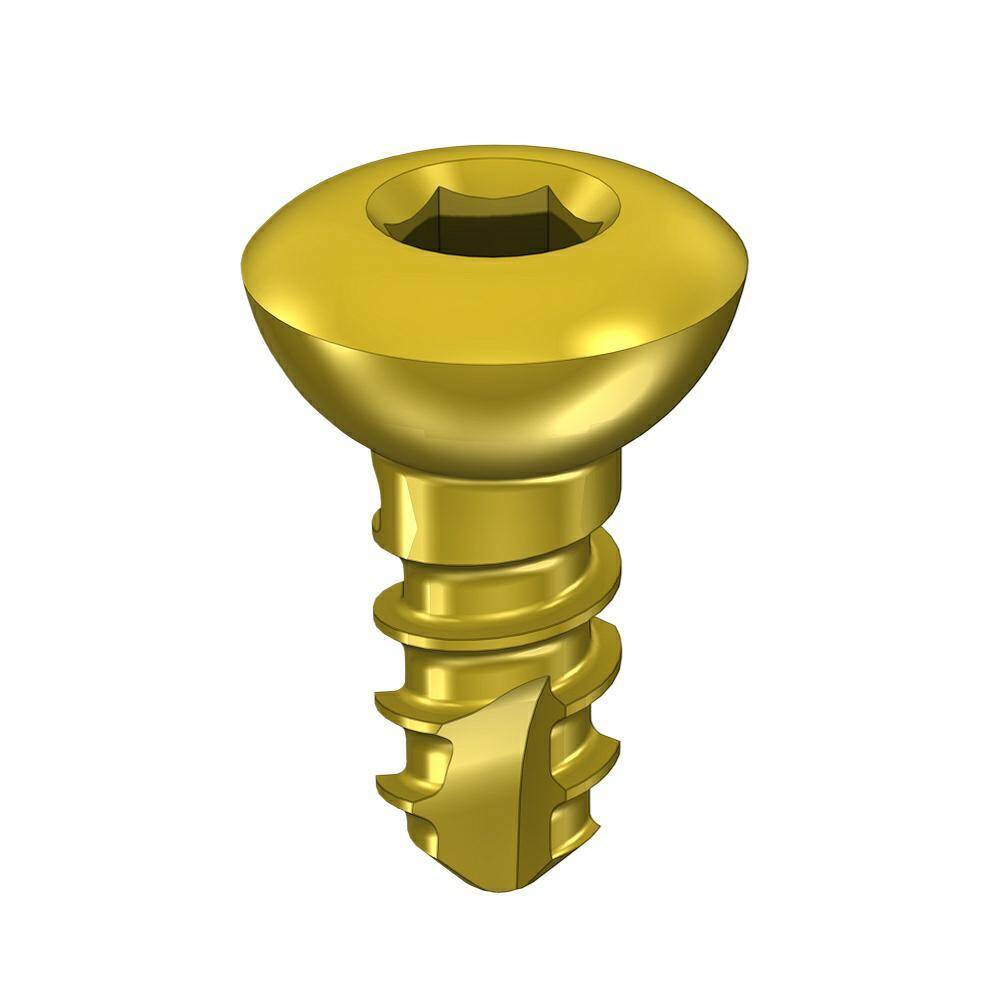 Cortical screw 2.0 x6