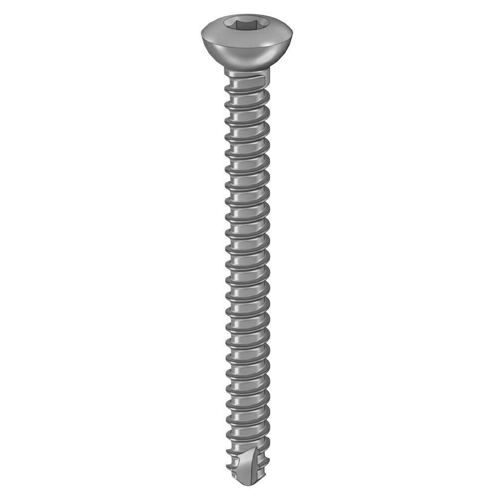Cortical screw 2.0 x24