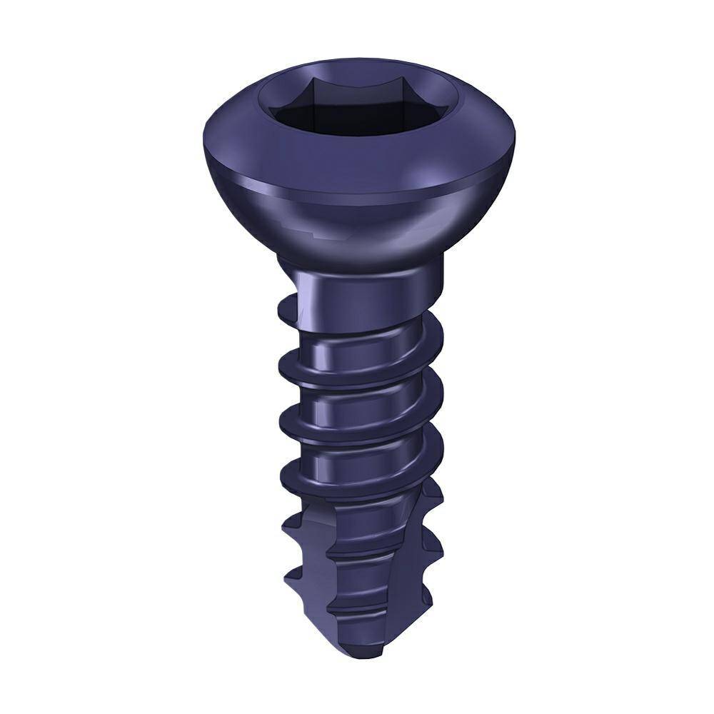 Cortical screw 2.7 x10
