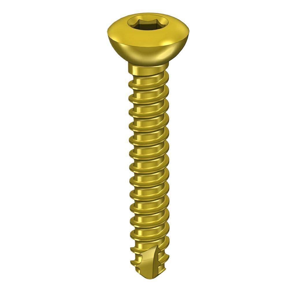 Cortical screw 2.0 x14