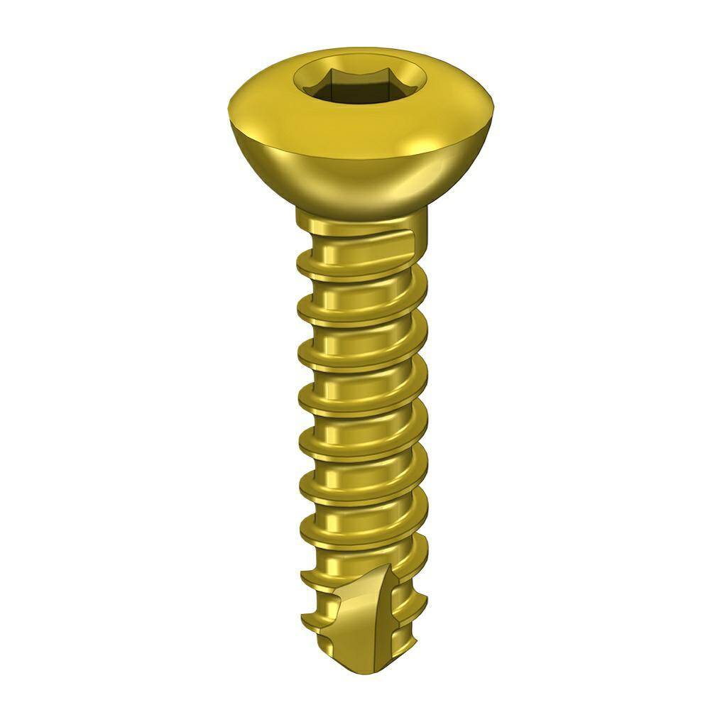 Cortical screw 2.0 x10