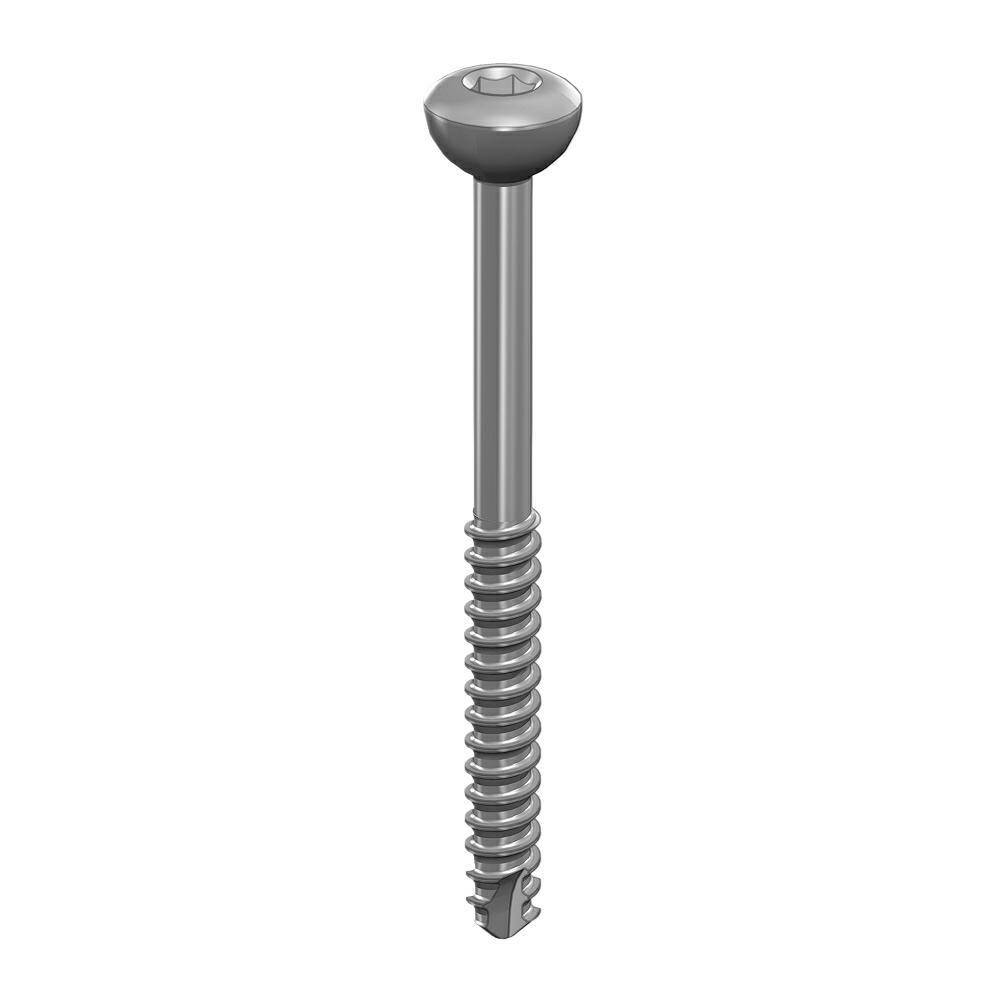 Shaft screw 2.0 x24