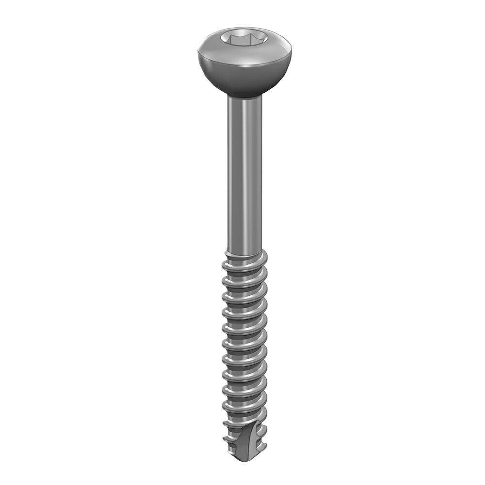 Shaft screw 2.0 x20