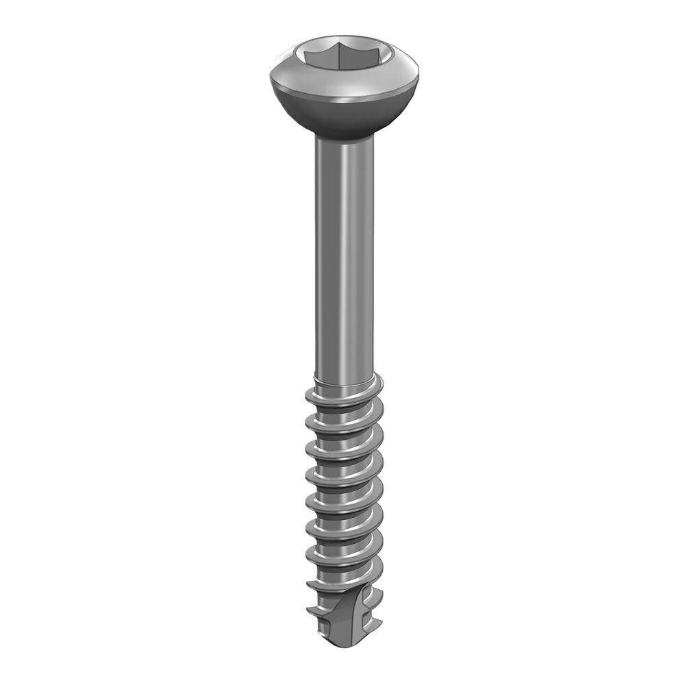 Shaft screw 2.7 x22