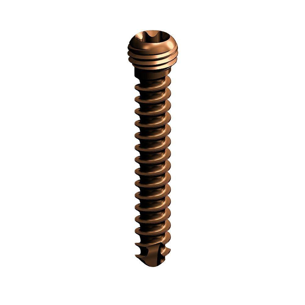 Locking TORX self-tapping screw 3.5  x24