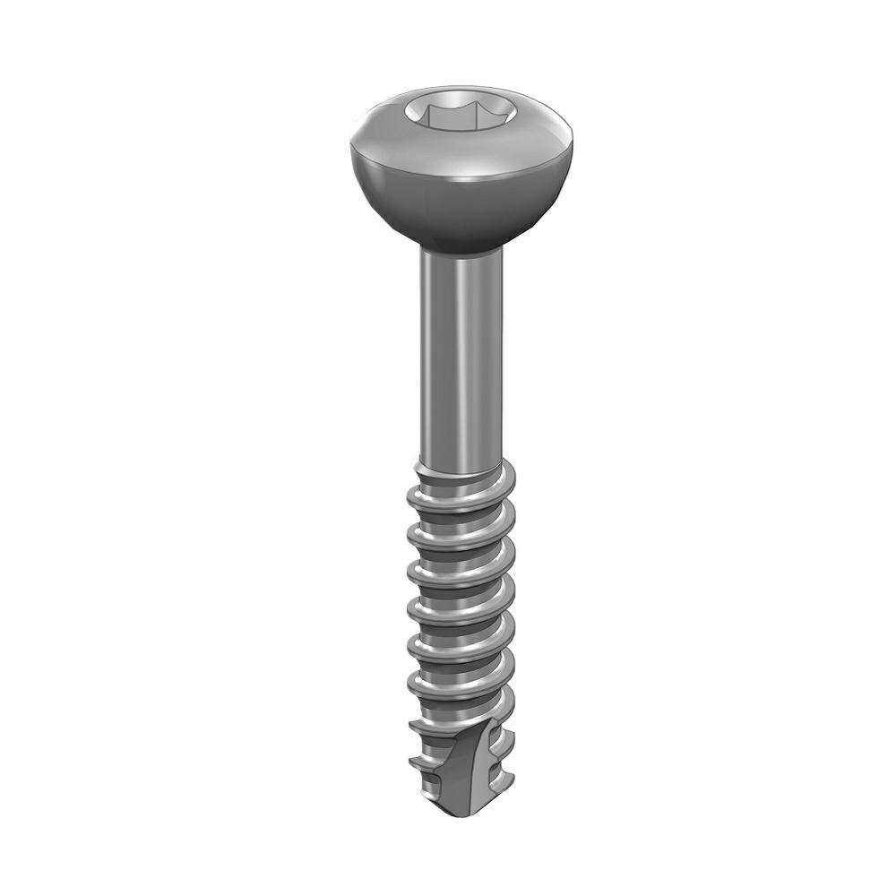 Shaft screw 2.0 x14