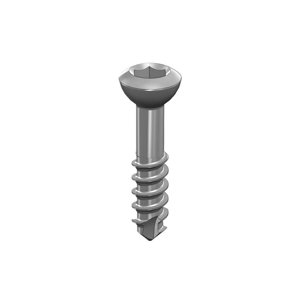 Shaft screw 2.4 x12