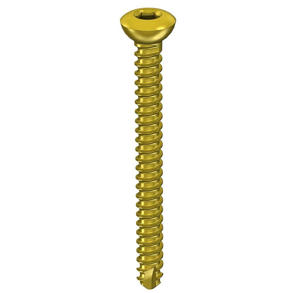 Cortical screw 2.0 x22