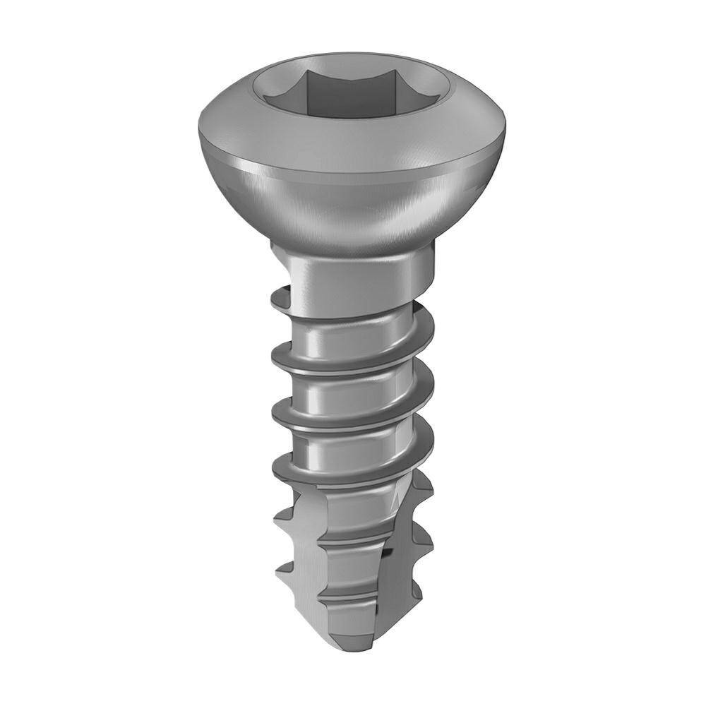 Cortical screw 2.7 x10