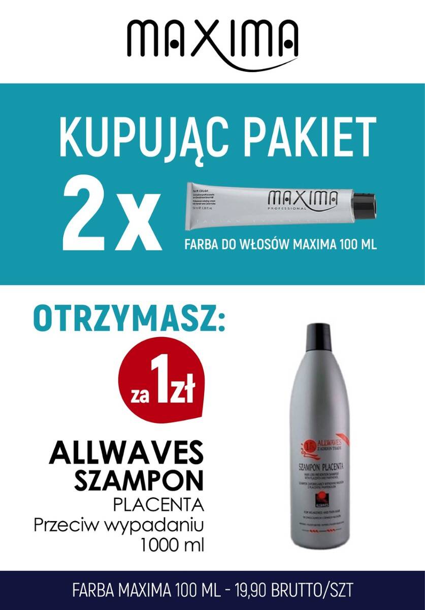 Farba MAXIMA x 2 + szampon 1L Allwaves