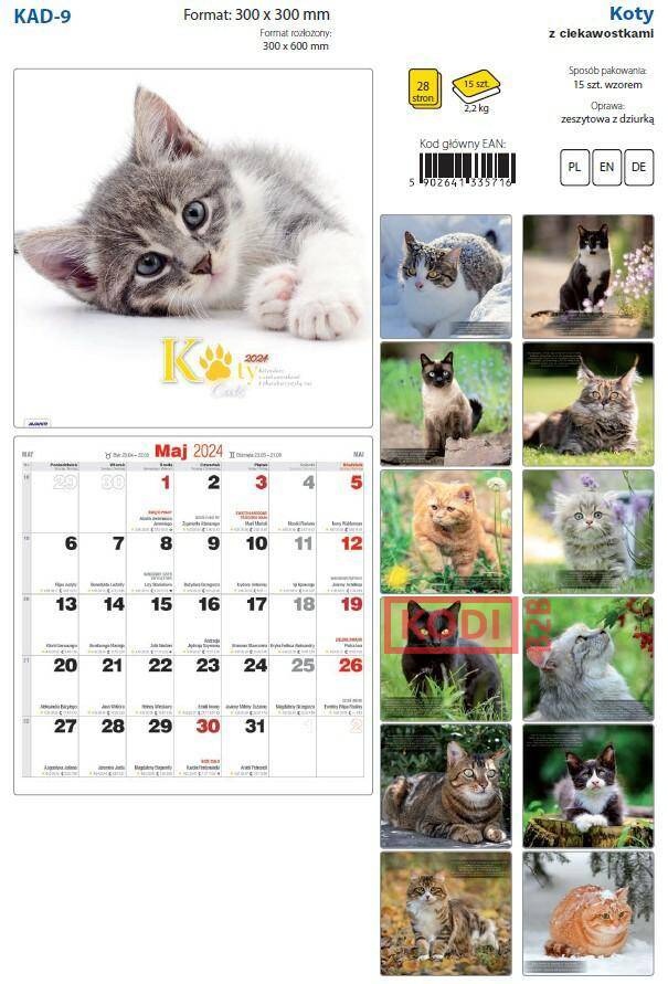 Kalendarz albumowy duży Koty