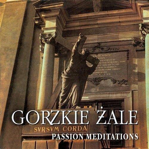 Gorzkie żale (CD) Passion Meditations