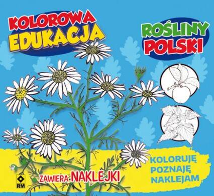 Rośliny Polski kolorowa edukacja