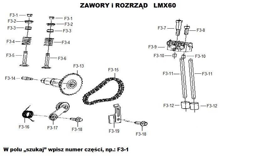 Rozrząd, zawory ZS60