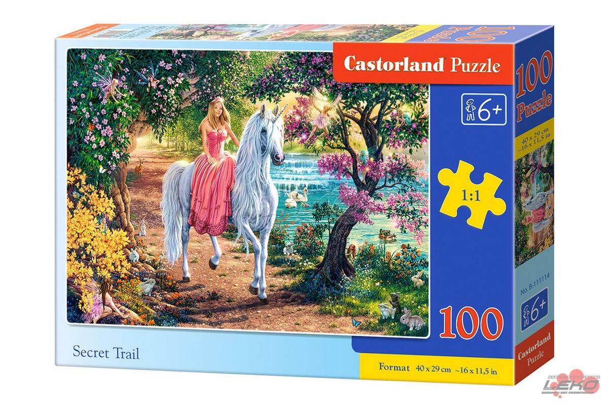 Puzzle C 100
