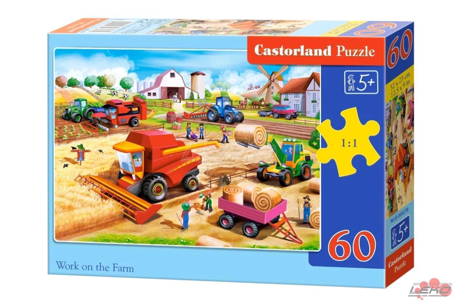 Puzzle C 60