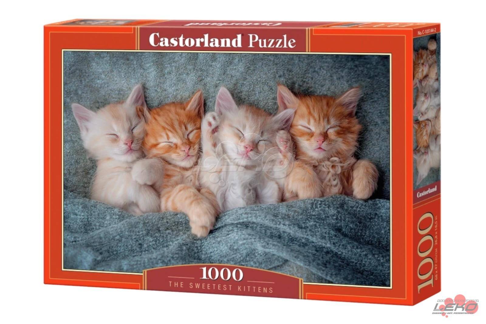 Puzzle C 1000