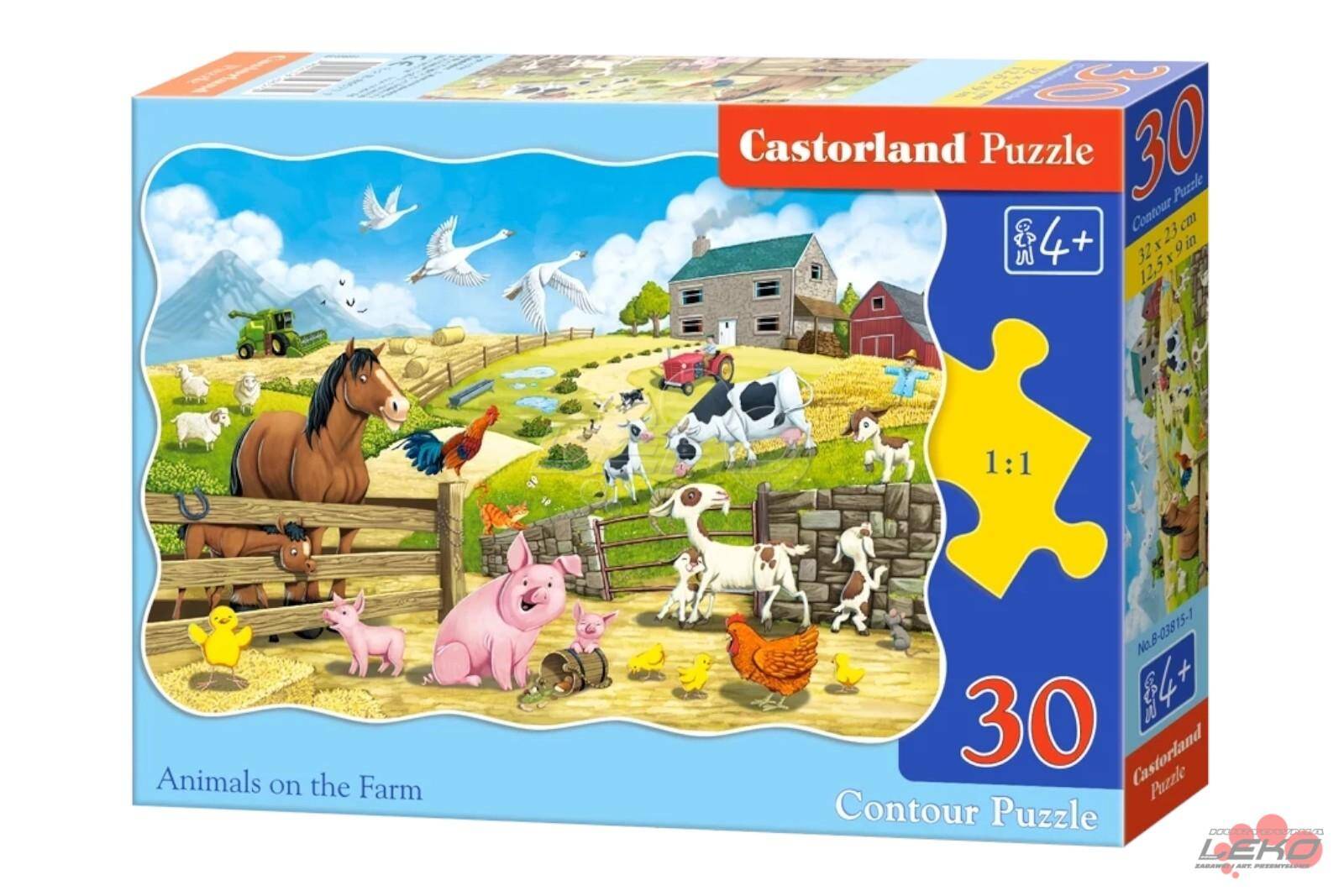 Puzzle C 30