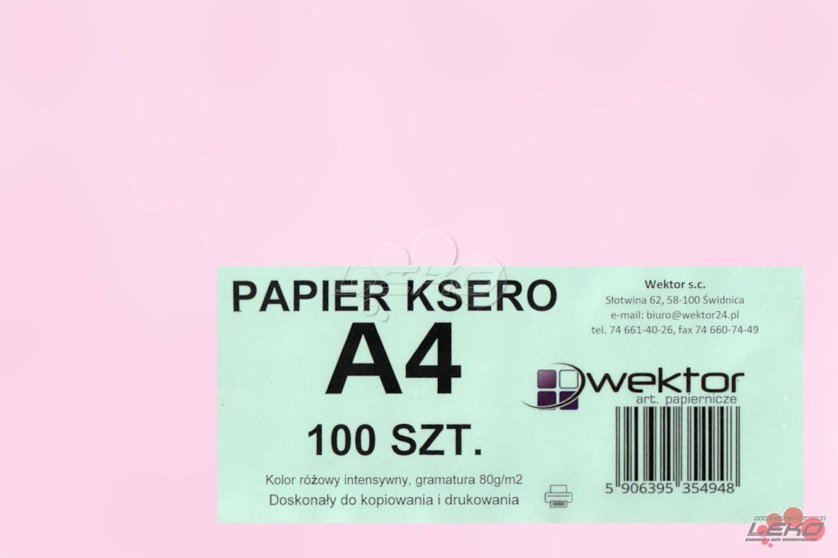 Papier ksero A4 kolor op.100szt.