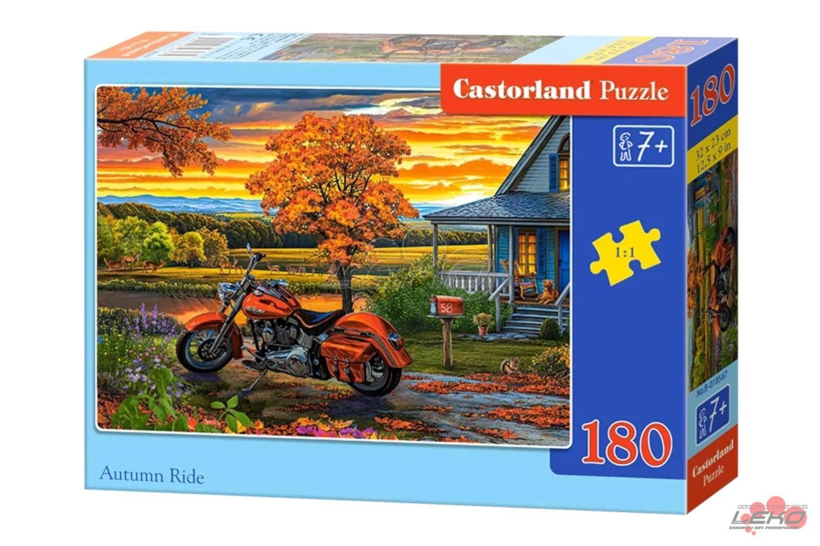 Puzzle C 180