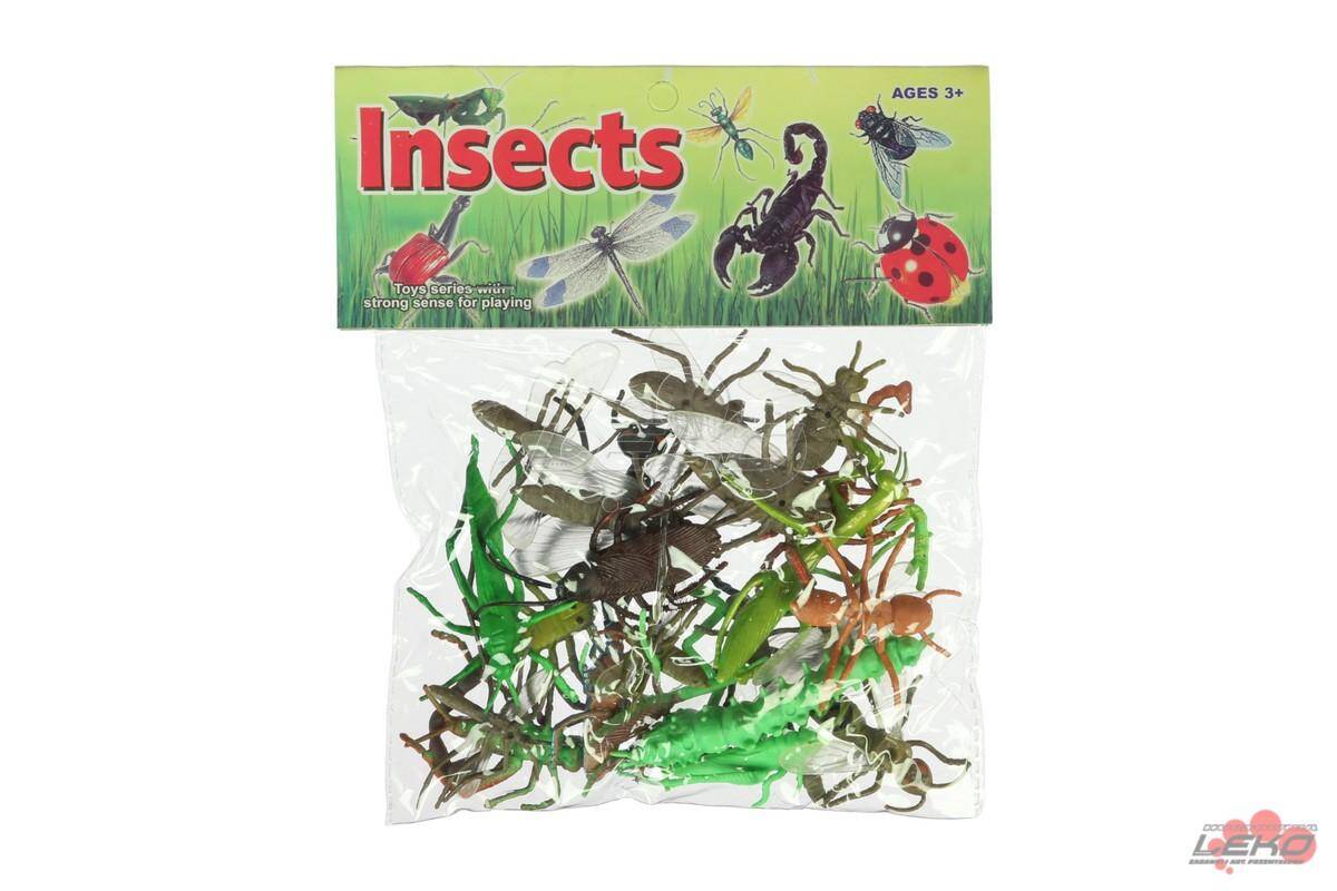 Insekty