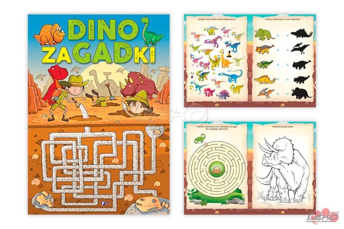 Książka Dino zagadki