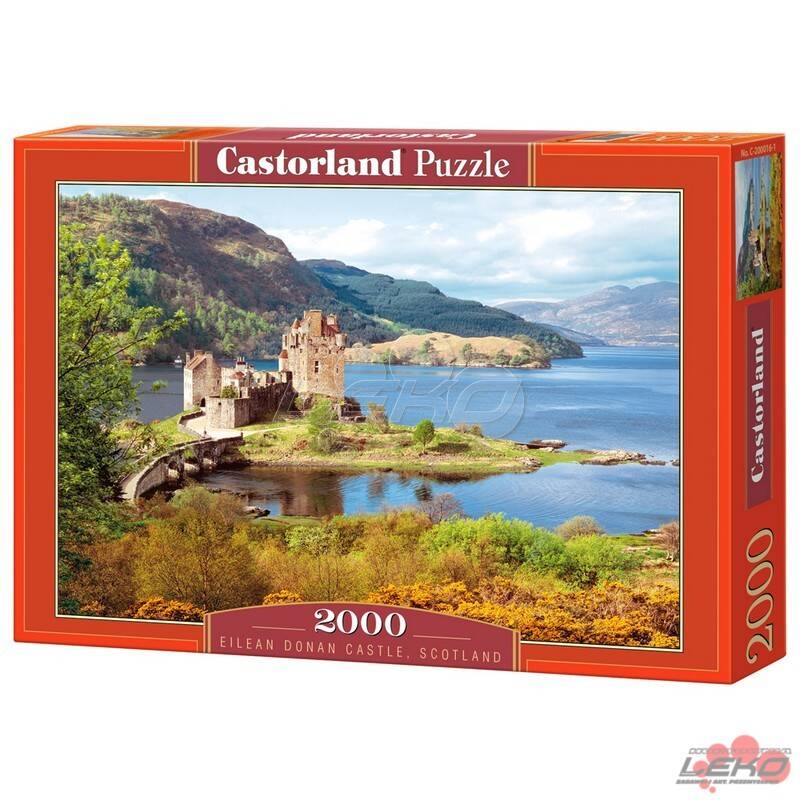 Puzzle C 2000
