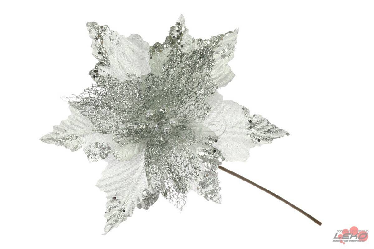 Kwiat gwiazda betlejemska biało-srebrna