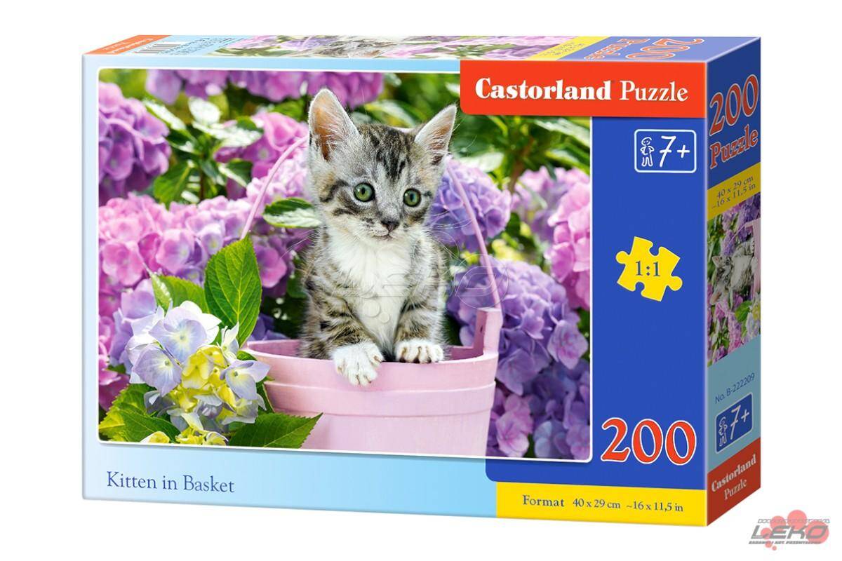 Puzzle C 200