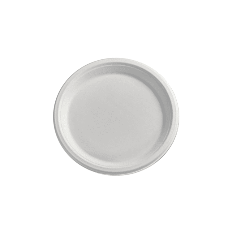 talerz Chinet biały 24cm 100szt (Zdjęcie 1)