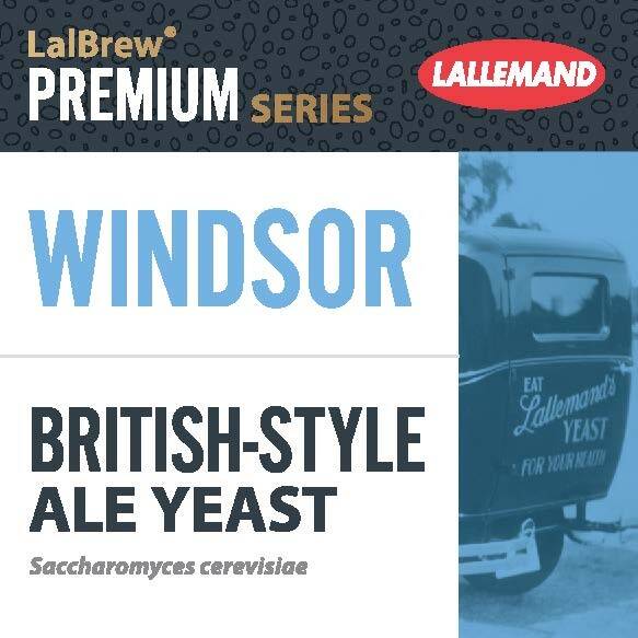Drożdże do piwa Lallemand Danstar Windsor Ale 11 g (Zdjęcie 1)