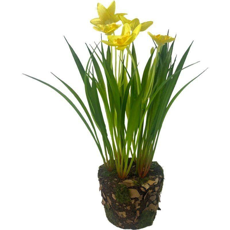 Żonkil żółty w doniczce 21cm 1056