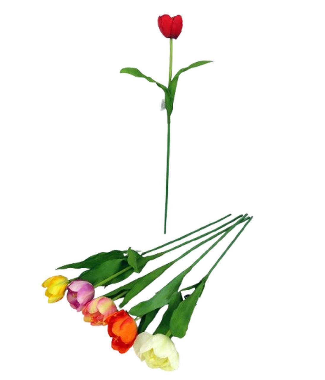Tulipan pojedyńczy mix 50cm