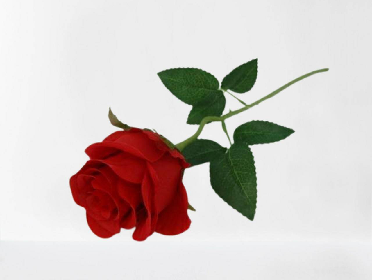 Kwiat sztuczny VIP2965/red